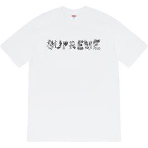 Supreme morph tee